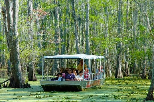 New Orleans Self-Transport Swamp and Bayou Boat Tour