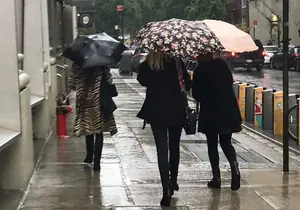 Private New York City Vintage + Secondhand Shopping Day