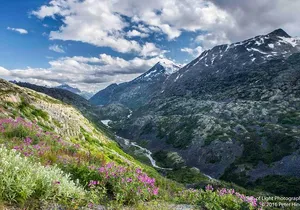 Yukon Suspension Bridge and Summit Tour