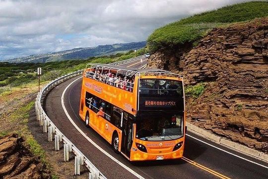 Waikiki Trolley Hop-On Hop-Off Tour of Honolulu
