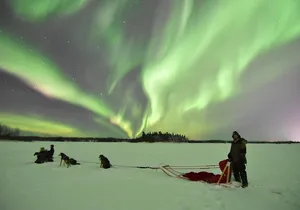 Dog Sledding and Mushing Experience in North Pole
