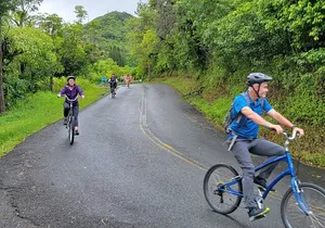 Downhill Bike and Ko'olau Waterfall Hike Tour
