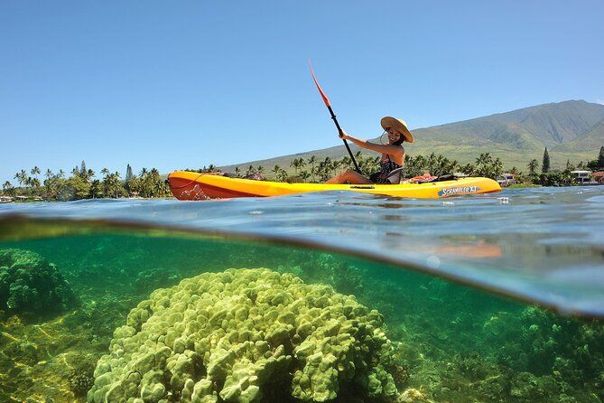 Maui: Turtle Reef Kayak Tour of Makena