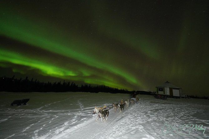Northern Lights Viewing including Dinner and Dog Sledding