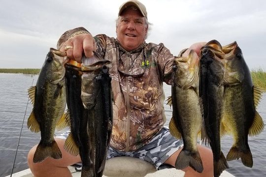 Half-Day Lake Okeechobee Fishing Trip near Naples
