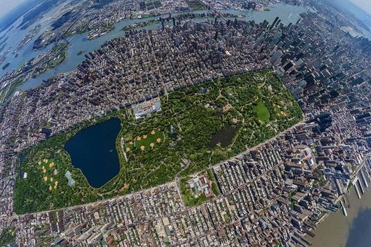 NYC Horse Carriage Ride in Central Park (50 Min. Up to 4 Adults)