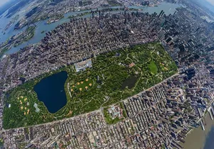 NYC Horse Carriage Ride in Central Park (50 Min. Up to 4 Adults)