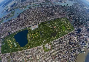 NYC Horse Carriage Ride in Central Park (50 Min. Up to 4 Adults)