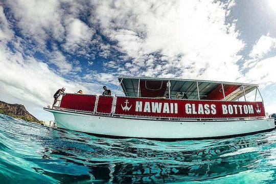Sea Safari, Dolphins, Turtles and Waikiki Cruise