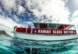 Sea Safari, Dolphins, Turtles and Waikiki Cruise
