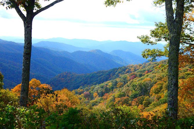 Fall Color Quest: Smoky Mountain Fall Foliage Hike