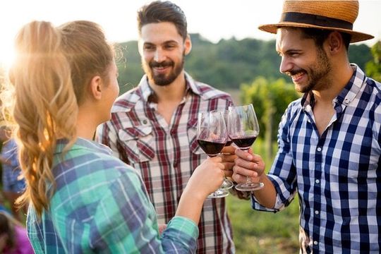 Muir Woods & Wine Tour: Redwoods & Tastings at 3 Wineries