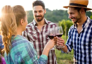 Muir Woods & Wine Tour: Redwoods & Tastings at 3 Wineries