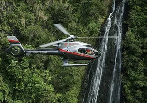 Luxury Helicopter Experience with Hana Rainforest Landing