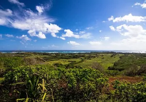 Private Advanced Trail Ride