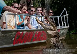 New Orleans Swamp and Bayou Boat Tour with Transportation