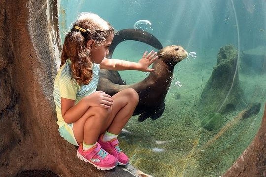 Zoo Miami Ticket with Optional Upgrade