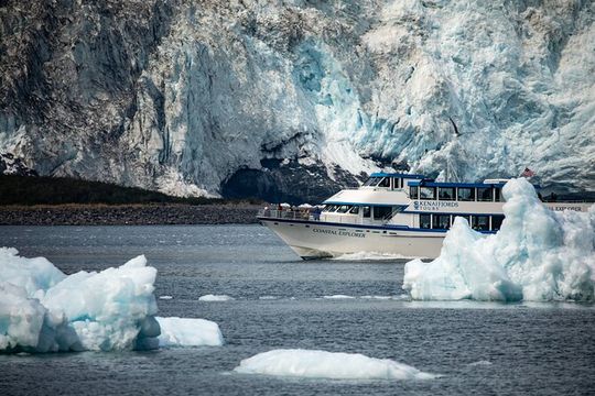 Kenai Fjords National Park Glacier & Wildlife Tour from Seward