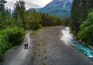 Wilderness Dog Sled Ride and Tour in Seward