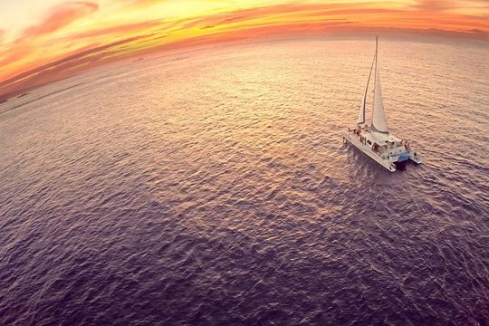 Deluxe Whale Watching Sail on Maui