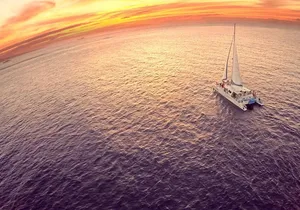 Deluxe Whale Watching Sail on Maui