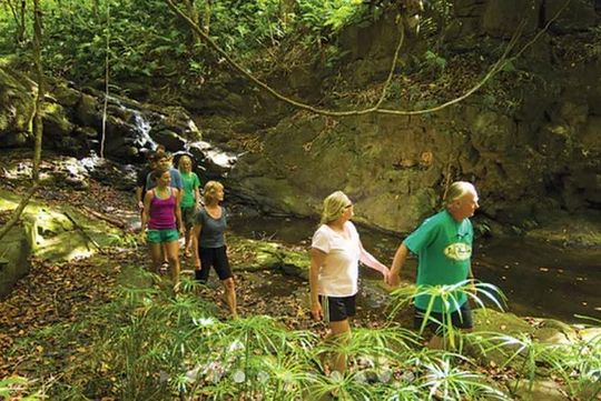 Private Access Hidden Falls Adventure: Kayak, Hike & Canoe Tour