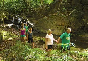 Private Access Hidden Falls Adventure: Kayak, Hike & Canoe Tour