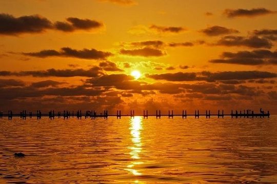 Boca Grande Inshore Fishing Charter