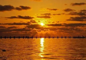 Boca Grande Inshore Fishing Charter