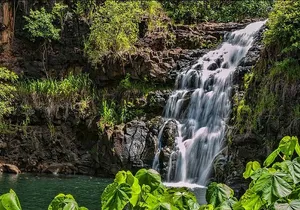 Oahu Circle Island Tour with Waimea Waterfall