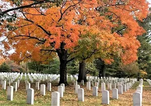 Arlington Cemetery Guided Walk with Optional City Monuments Tour