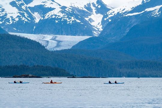 Juneau Shore Excursion: Paddle with Whales Kayak Adventure