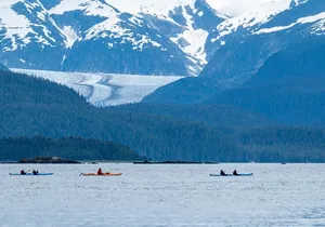 Juneau Shore Excursion: Paddle with Whales Kayak Adventure
