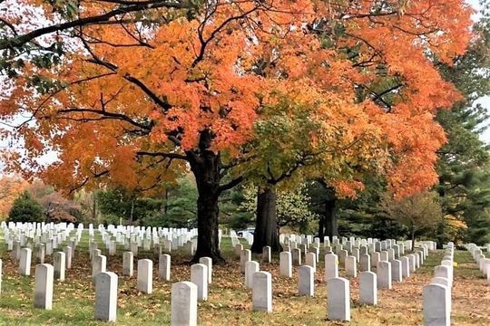 Arlington National Cemetery Guided Afternoon Walking Tour