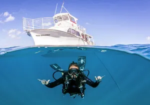 DISCOVER Scuba Diving Experience in Honolulu