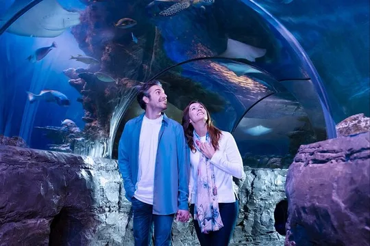 SEA LIFE Aquarium Minnesota Admission Ticket at Mall of America