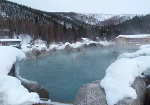 Northern Lights and Chena Hot Springs Night Tour from Fairbanks