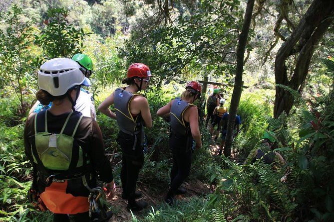 Rappel Maui Waterfalls and Rainforest Cliffs