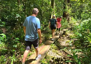 Oahu Volcanic Rainforest Hiking Adventure
