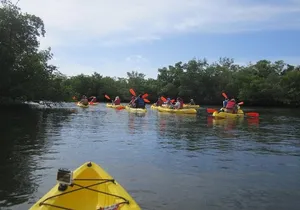 Lovers Key Guided Eco Tour-Mangrove Estuary