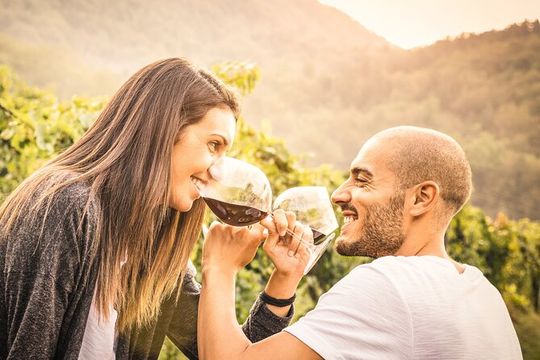 Napa and Sonoma-8-hr Private-Wine Tour from San Francisco XL SUV