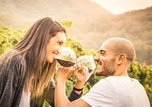 Napa and Sonoma-8-hr Private-Wine Tour from San Francisco XL SUV