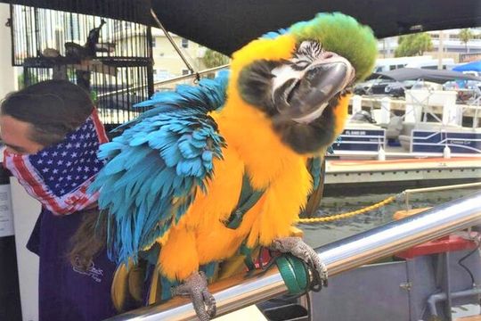 1-Hour Interactive Pirate Cruise (arrive 30 minutes early)