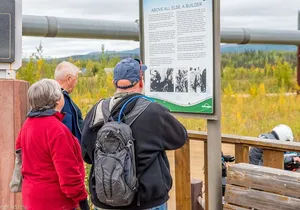 Midnight Sun Arctic Circle Drive Adventure