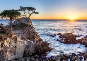 Monterey, Carmel and 17-Mile Drive: Full Day Tour from SF