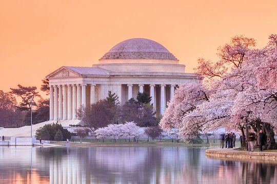 DC Bus Tour with 10 Stops, Optional Monument or Air & Space Entry