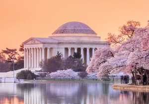 DC Bus Tour with 10 Stops, Optional Monument or Air & Space Entry
