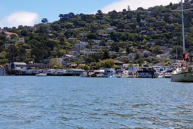 Combo Small-Group Tour: SF City plus Muir Woods & Sausalito