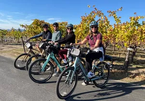 Healdsburg Cycling Wine Tour