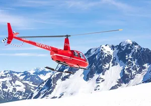 Anchorage Summer Glacier Dogsledding Tour